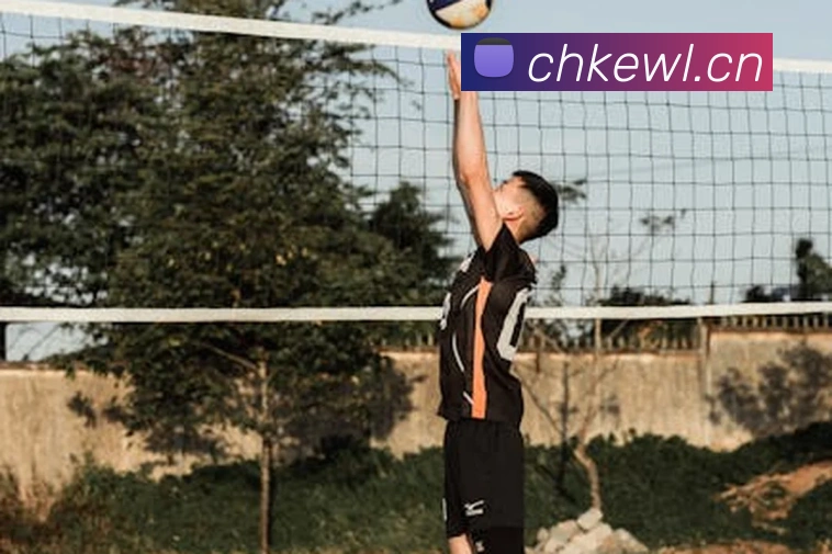 米兰官方网站入口发展历程